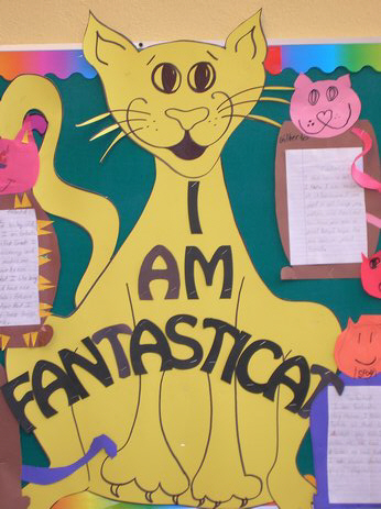 fantasticat teaching ideas