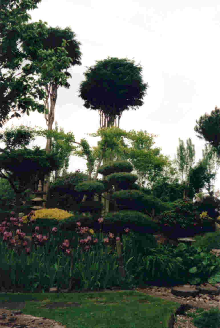 japanese garden meditation centre
