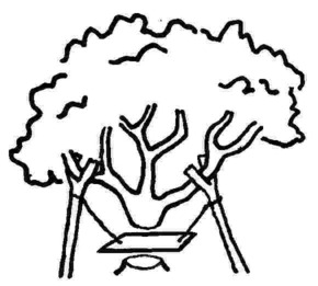 tree swing - maintenance