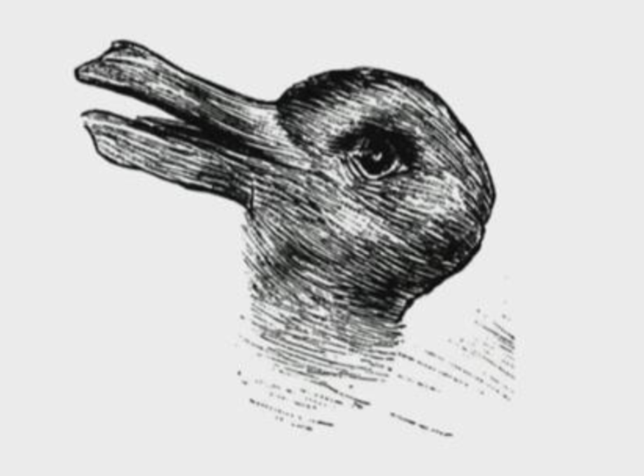 Duck./Rabbit