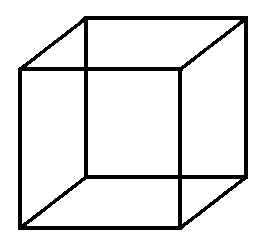 necker cube trick