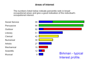 birkman method - typical interest profile