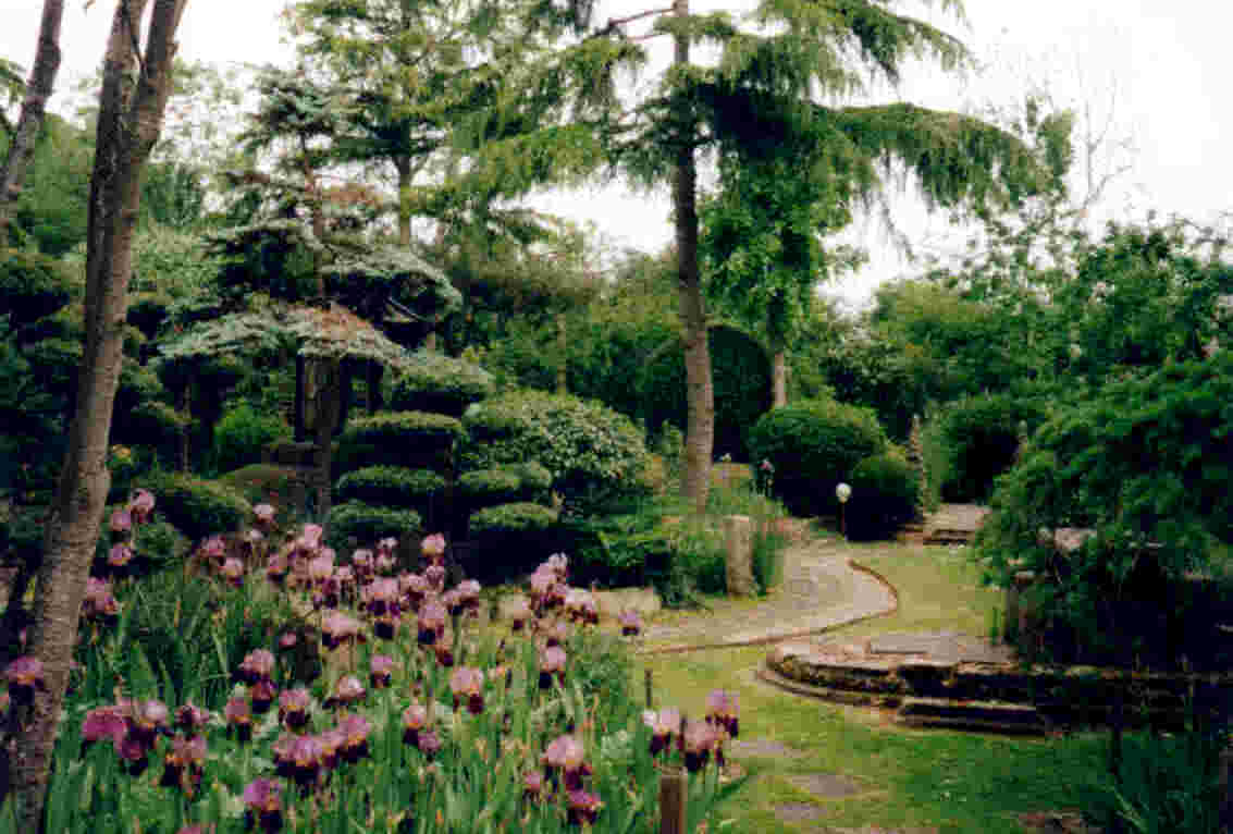 pureland japanese garden