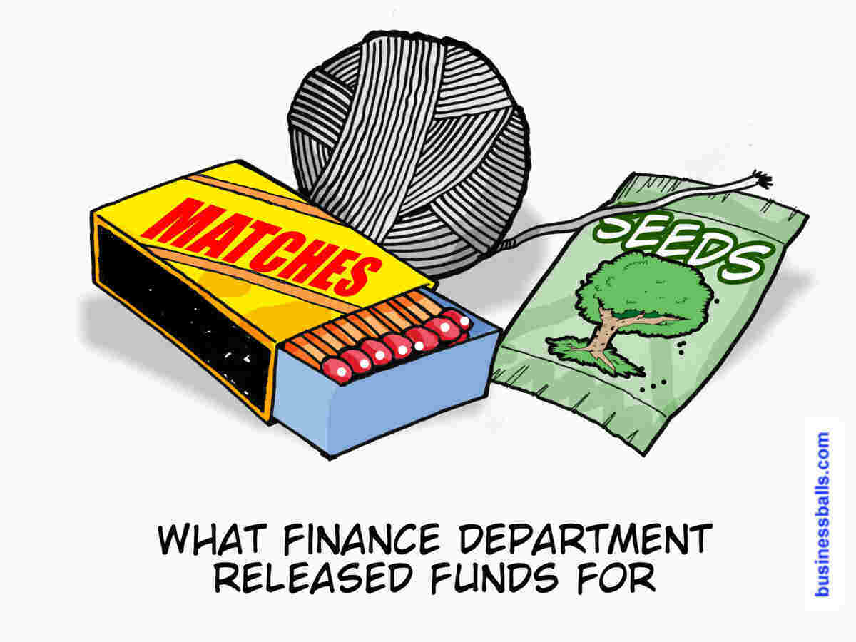 treeswing - what finance department budgeted